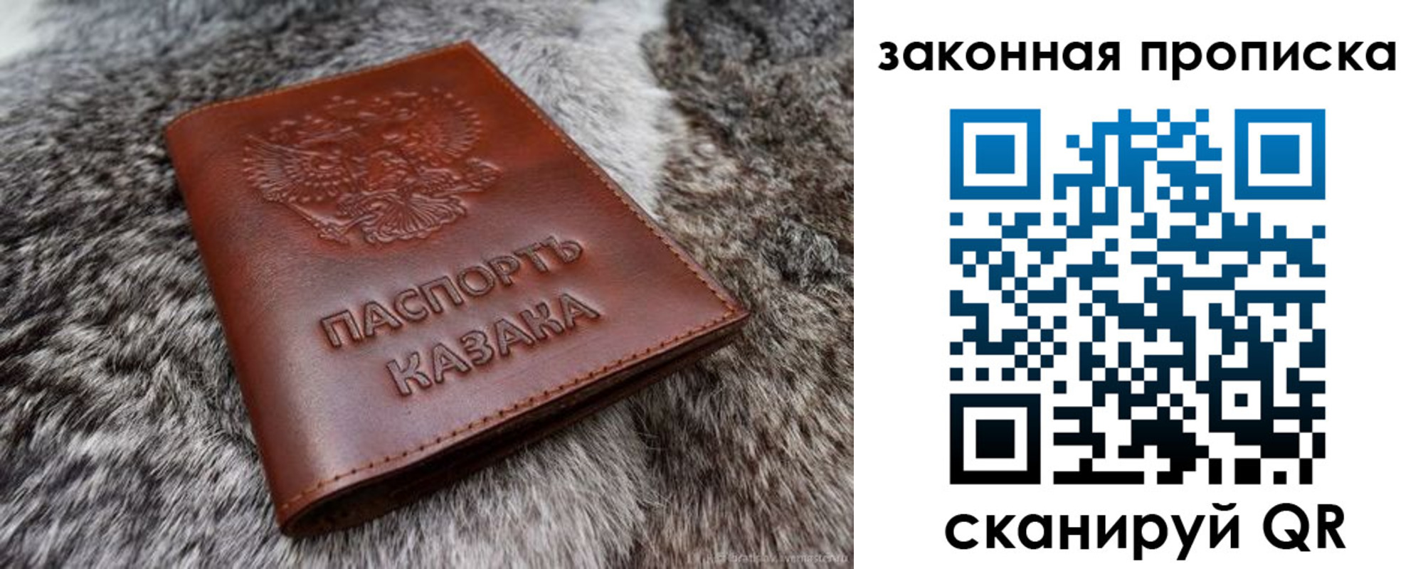 прописка в Волосово